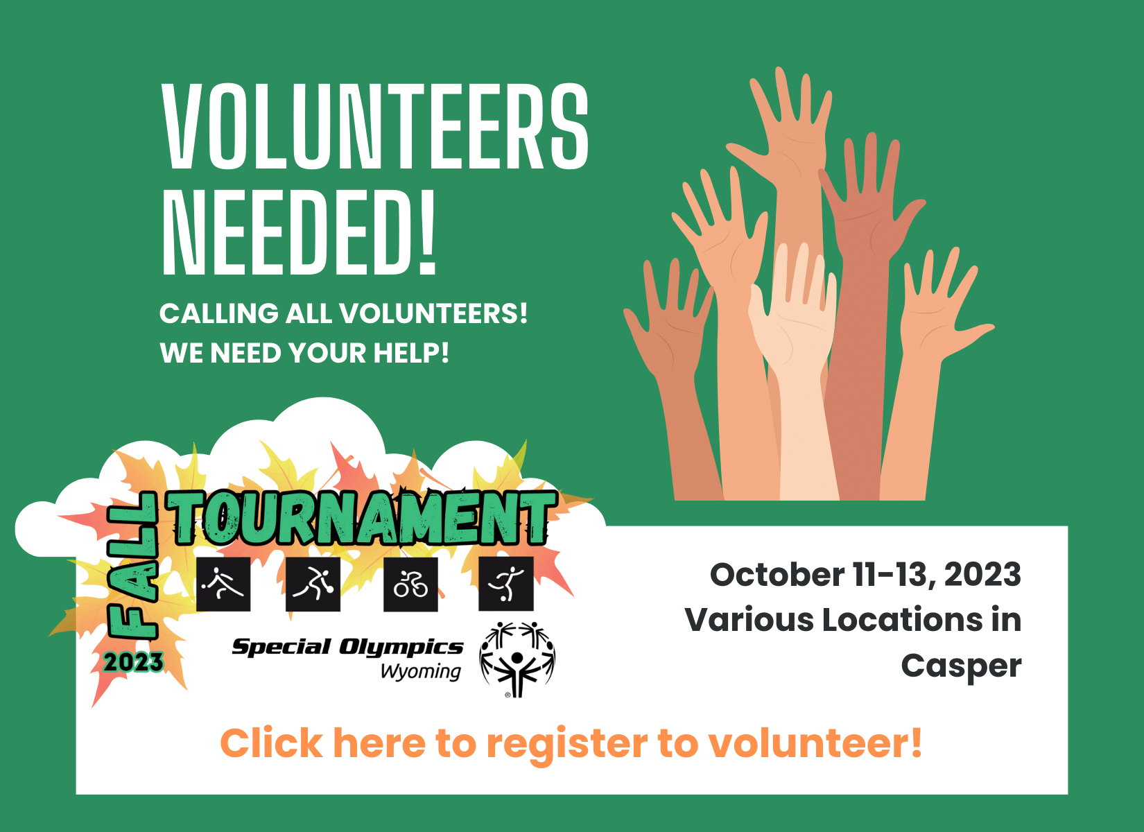 Volunteer needs